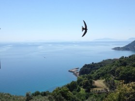 View from Alexandros